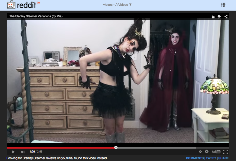 stanley steemer reddit