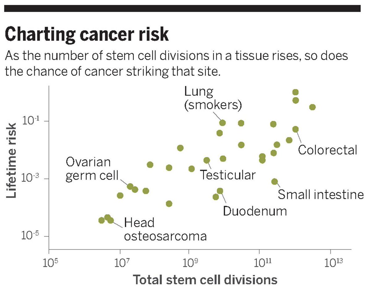 NewsfromScience's tweet photo. The simple math that explains why you may (or may not) get cancer http://t.co/kBT2bHe8O9 http://t.co/K2xjcLErRL