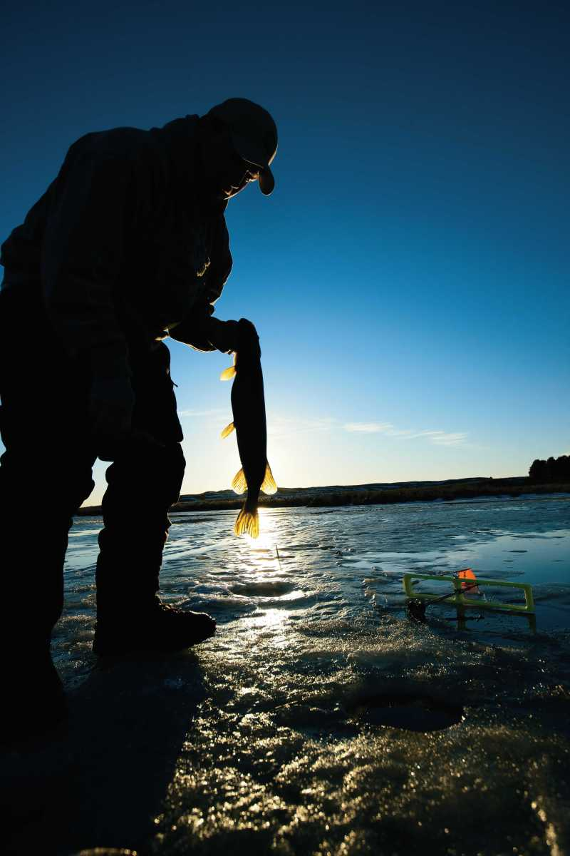 Cabelas tweet picture