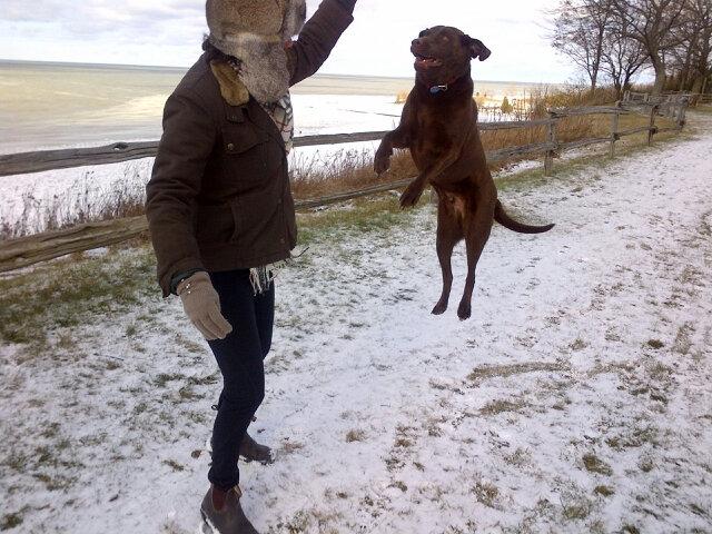 projectbeamon's tweet photo. RT @LisaLaFlammeCTVNew heights for #2015 - Who says you can't teach an old dog a new trick! http://t.co/vDAqZNu3Il