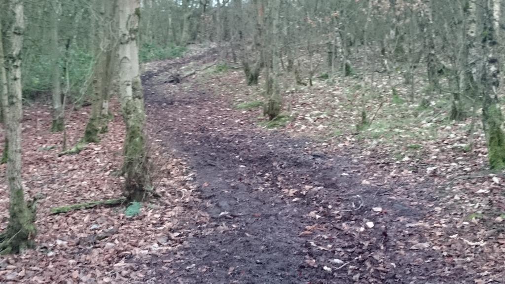 muddyrunevent tweet picture