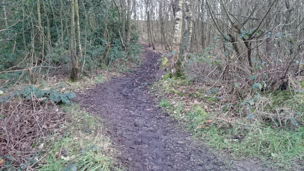 muddyrunevent tweet picture