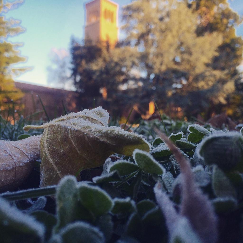 JasonHalley_CSU's tweet image. Cold and empty campus mean @post_kate and I are havin an adventure day. #emptycampus #casesmc #hesm