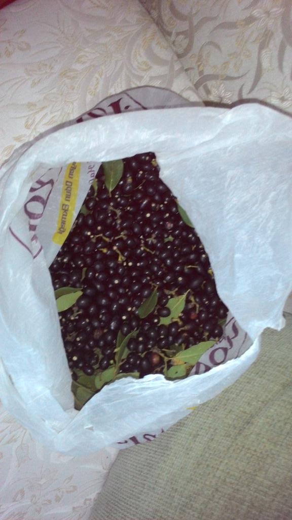 eminaoz777's tweet photo. #defnetohumu #defne http://t.co/YRzELN4o4Y