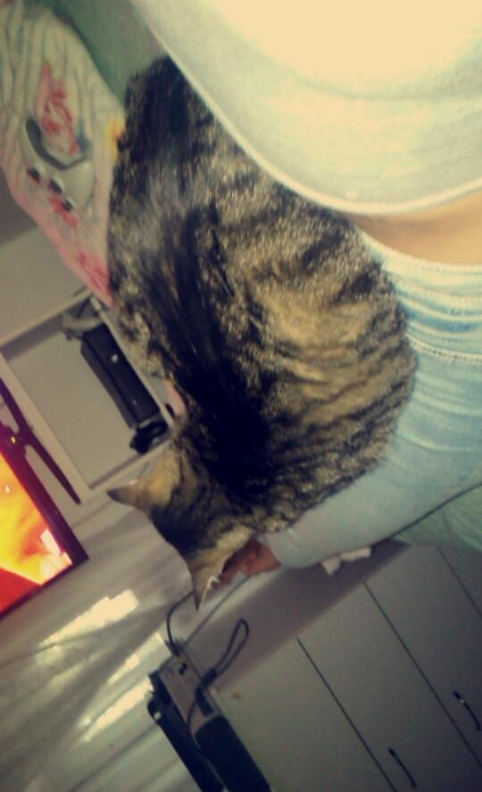 Ek wou gaan gym het,  maar if duty calls moet ek maar uithelp <a href="/eksjurg/">Tri-Jurg</a>