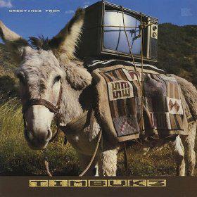 "The future is so bright that I have got to wear shades." - Timbuk 3