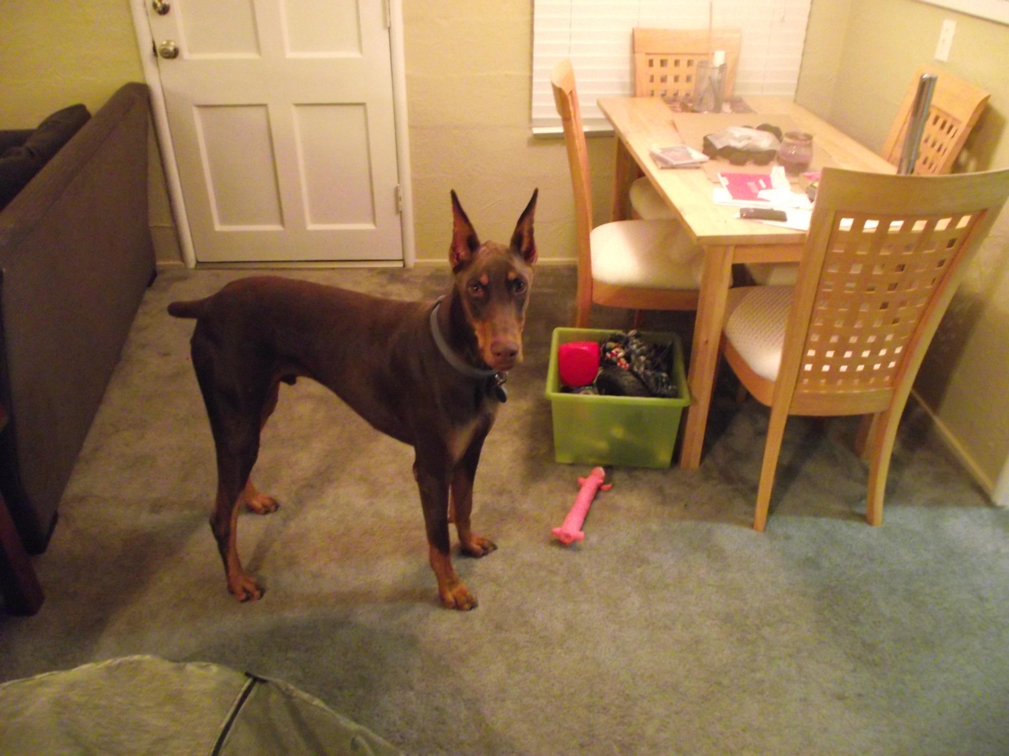 Embedded image permalink