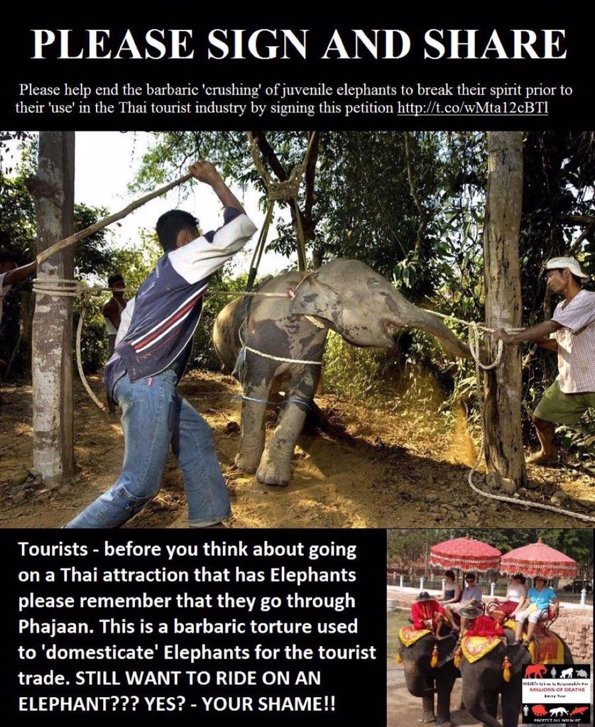 Isaac Vega on Twitter