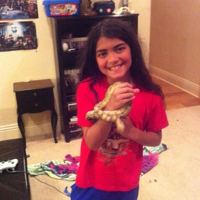 blanket_ii's tweet image. 🐍