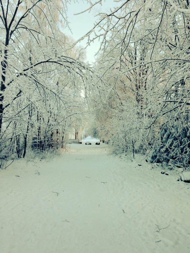 BirgitHoltskog's tweet image. 