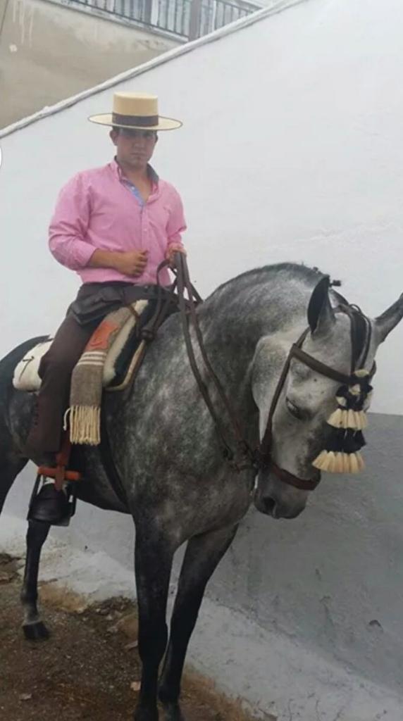 miguel angel cabrera (@m_angelcabrera) on Twitter photo 