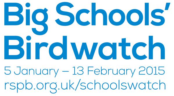 MaryAnn1LAN's tweet image. @ CCLNLearning #RSPB_Learning