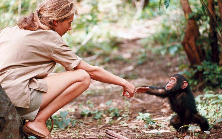 If we r the most intellectual creature that’s ever walked on the planet how come we r destroying that planet
JGoodall