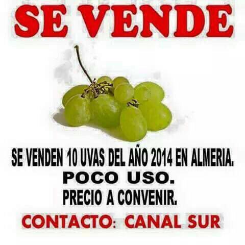 La_Antonias's tweet photo. Se venden 10 uva der año 2014. Contacto: 'Canal Sur' http://t.co/5oohzDD8Cp