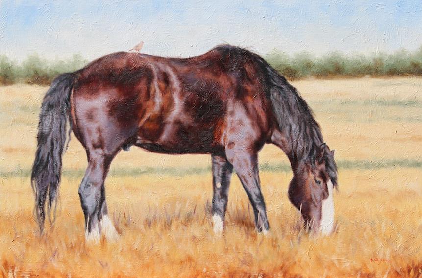 KateJenveyArt's tweet photo. Loved the colours in this #horse a #painting just waiting to happen. 'Little birdie' #oil on board. http://t.co/P26nXDE0pF