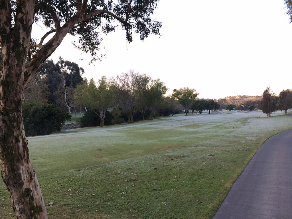 scotdey's tweet image. Always interesting how frost shows true signs of turf/soil stress/challenges. #irregularpatterns