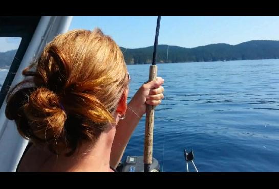 YouFishdotTV's tweet image. She Loves to Fish! @VanIsleVacation @VictoriaBCToday, see video of #Salmon caught near #yyj youfish.tv/she-loves-to-f…