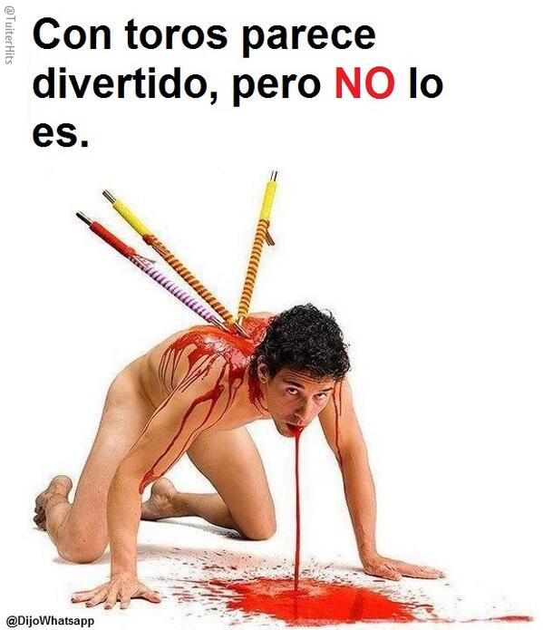 TuiterHits's tweet photo. Con toros parece divertido... http://t.co/ZFmPR9smtl