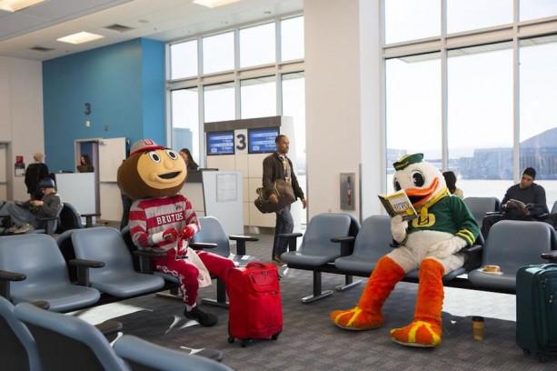 WaltDisneyWorld's tweet photo. See the new @DisneyParks TV spot featuring @OhioState &amp; @Univ_Of_Oregon mascots: http://t.co/2DtnVMF7YC http://t.co/ddYGqXbpbs