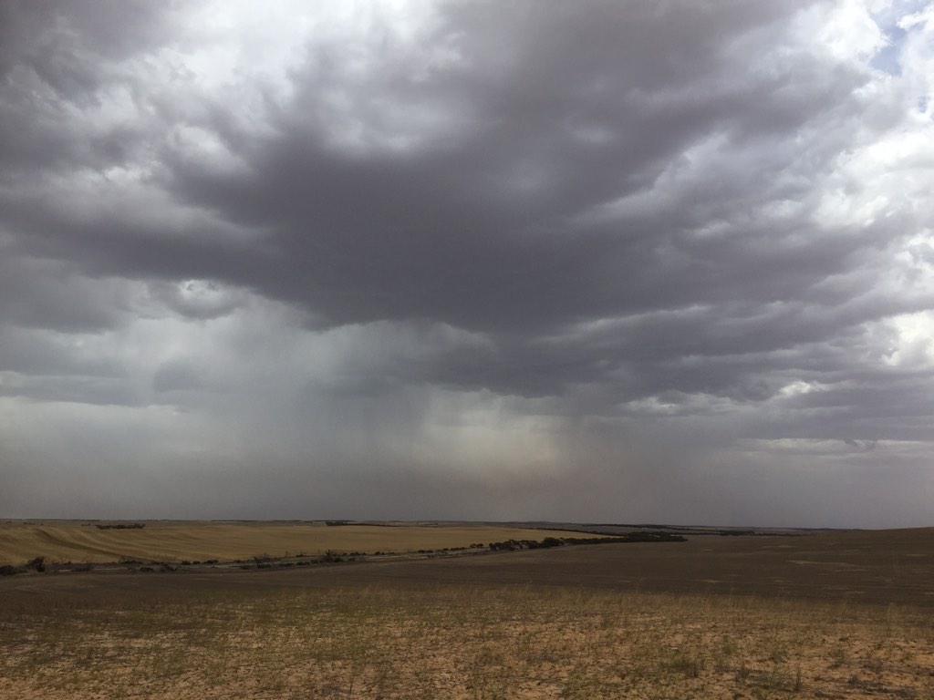 CoreyBlacksell's tweet image. Approaching storm #Pinnaroo #FarmPics15