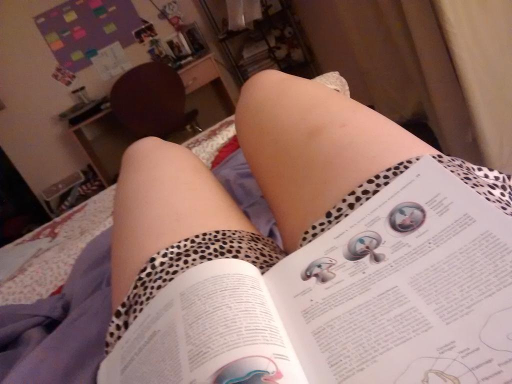 pauliigatica's tweet photo. Estudiar un finde donde todos están de vacaciones??... Pésima idea #unabteodio http://t.co/gWsvBZSVrD