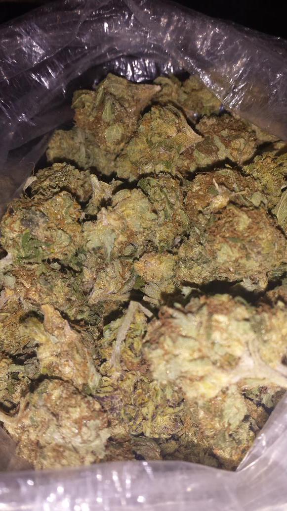 TChao95's tweet photo. Beautiful Blueberry Og @EStaley23 @J3BANDZ @SavageGudda http://t.co/PODKwSD0q8