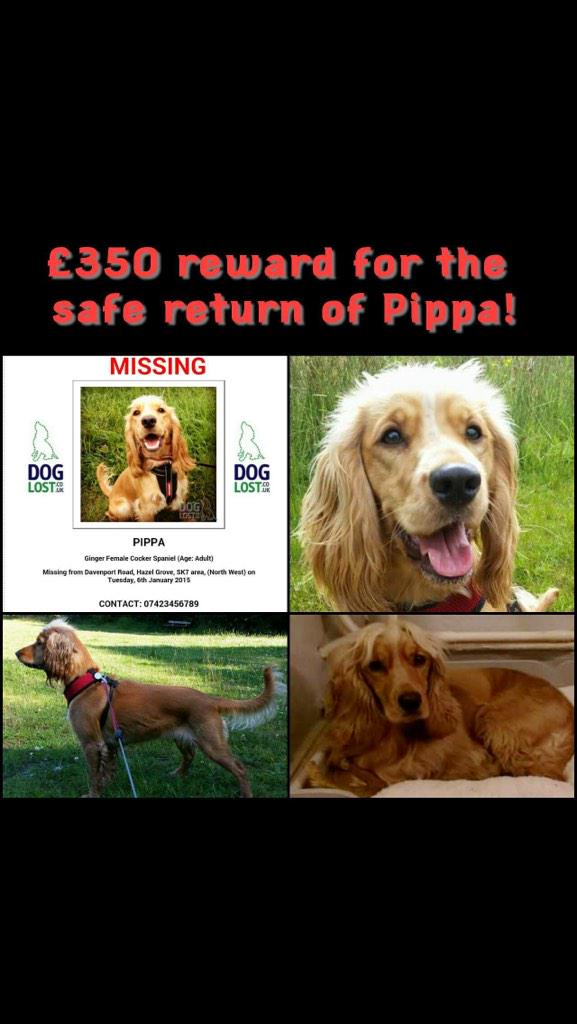 <a href="/Charlottegshore/">Charlotte Crosby</a> can you please RT and help #FindPippa manchestereveningnews.co.uk/news/local-new… thanks