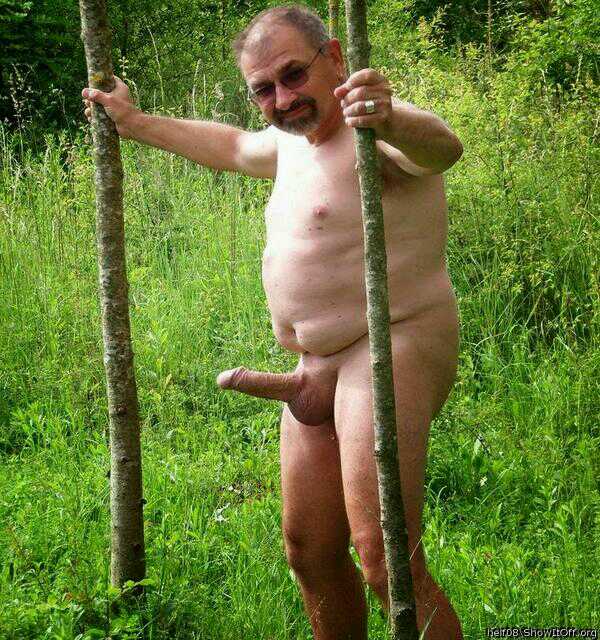 Enlace permanente de imagen incrustada