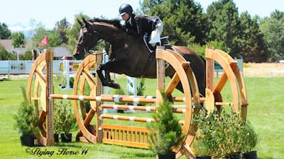 New sale horses with videos added: haphansen.com/sale-horses/