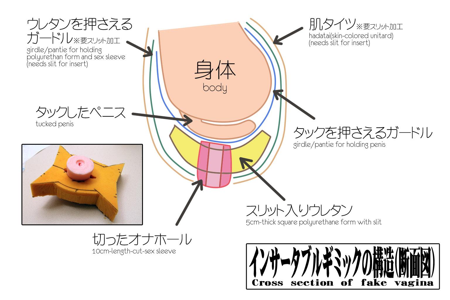 断面図　sex 
