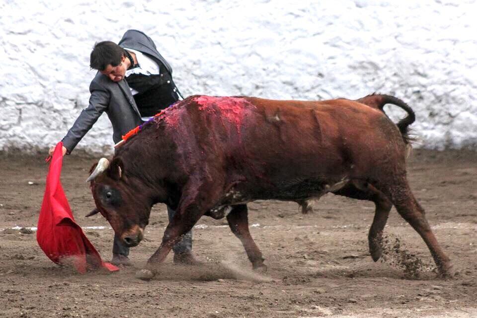 luisgallardo_1's tweet photo. #Presas #templando #mandando http://t.co/ufxPhpA5Md