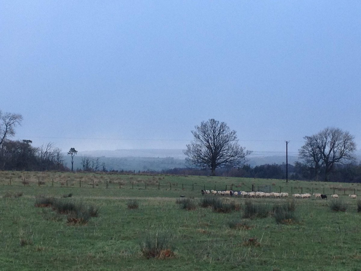 It's trying to snow, which means Snowshoeing at Hadrian's Wall! <a href="/NTHadriansWall/">NTHadrian'sWall&Tyne</a> #adventure #snow #NewYear2015