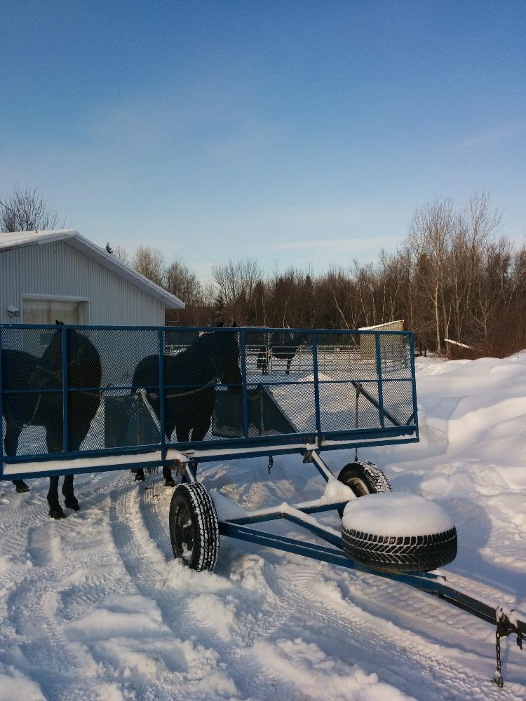 BerubePascal's tweet image. Entrainement 2015 officiellement commencé.