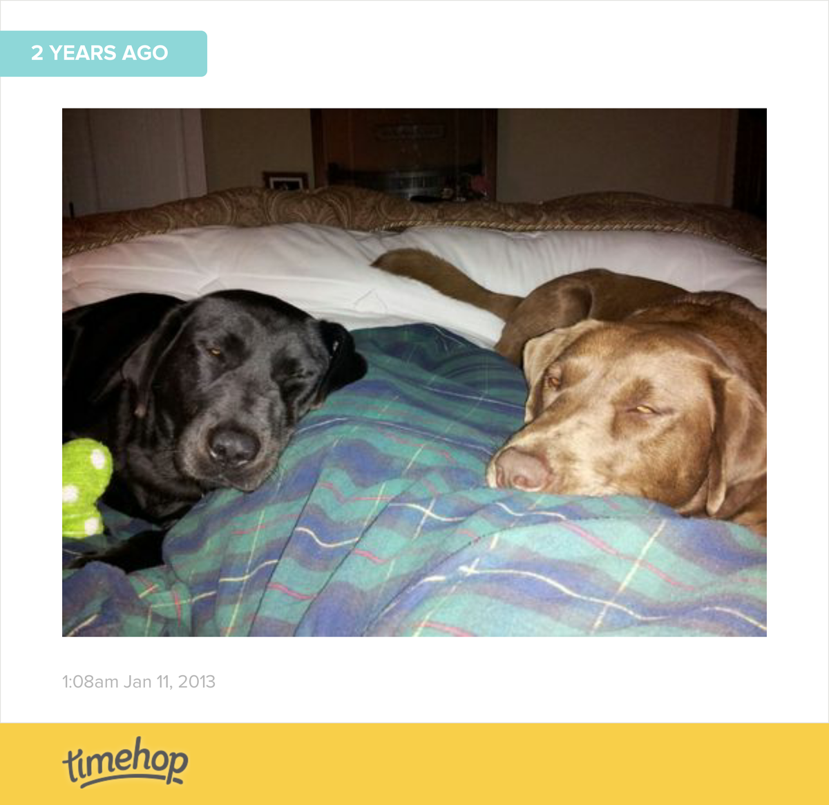 sicemtarabear's tweet photo. The bed looks almost exactly the same this morning, just add baby. #firsttimehop 😊 http://t.co/CZ4PSSsW8D http://t.co/D1WhtoJ7a9
