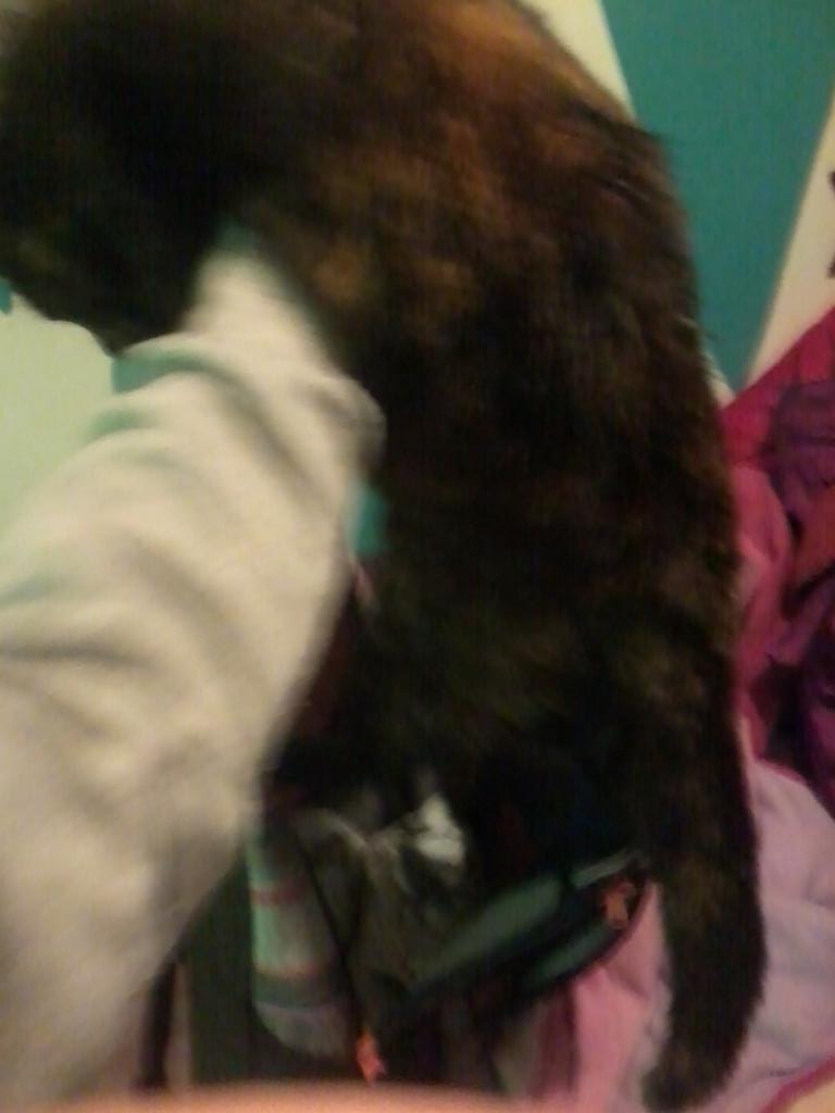 StephFanBase's tweet image. When you're packing for a sleepover and you just want to...