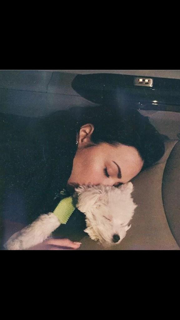 megloveslovato's tweet photo. #imagine Demi sending you this on twitter "come back so we can have cuddles" http://t.co/eEGElZwQLH