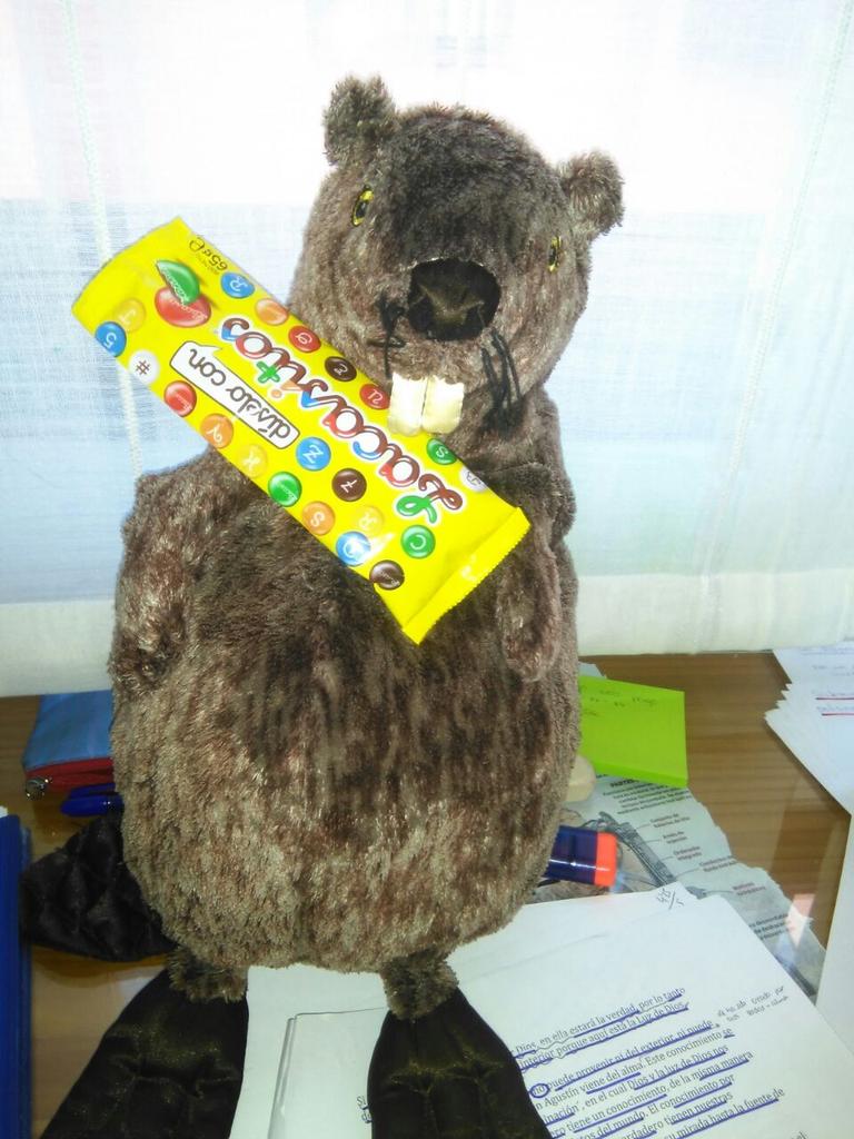 AngiRodriguez8's tweet photo. @JaGuillot97 tío deja las tonteriasvpara este año. Con el castor es mas que suficiente #castores http://t.co/MXyfrSyccD