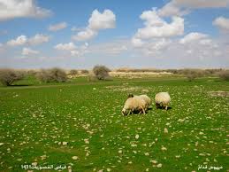 AlyasriAboo's tweet photo. ان تغريدي هو من اجل لكم لتكونو سعداء http://t.co/FrVF38KfoF