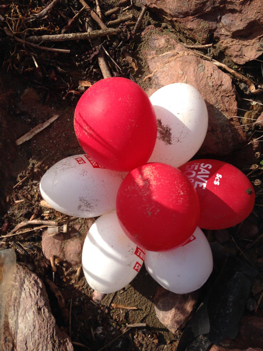Newquaybeach's tweet photo. Thumbs down to @SCSSofas for #littering our #beautiful #Cornish #beaches with their #promotional #balloons http://t.co/gDceMEBvhb