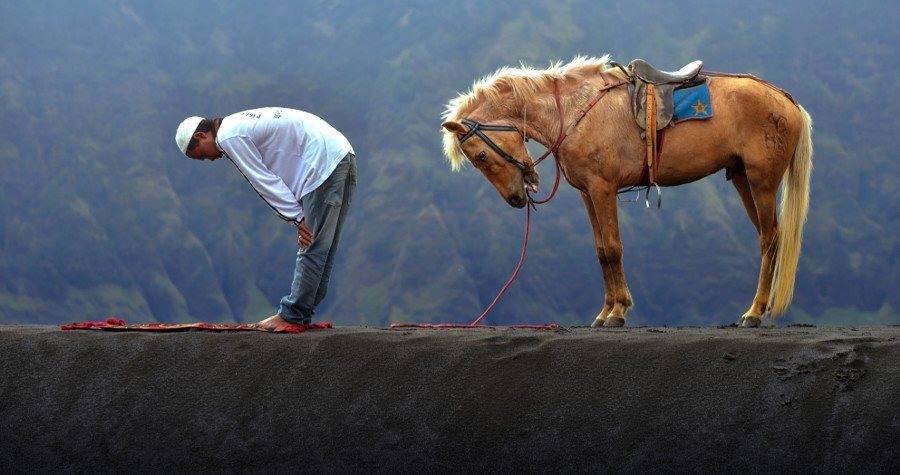 iFalasteen tweet picture
