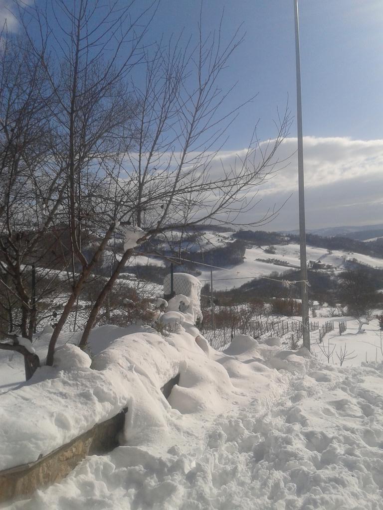 agallo28 tweet picture