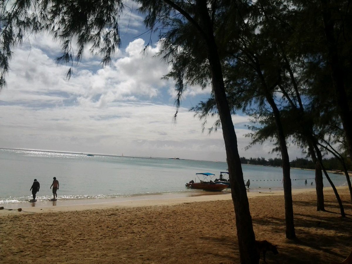 live_mauritius's tweet photo. https://t.co/TFM4TAfrWq