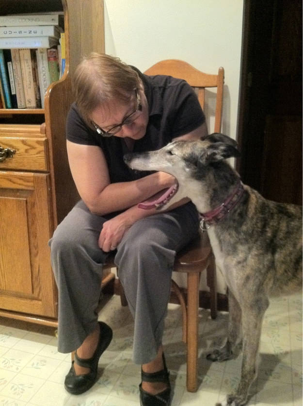 24WOWCOM's tweet photo. #24WOW (9)The timing is absolutely perfect (and hilarious)! http://t.co/2uIJUFZl2E