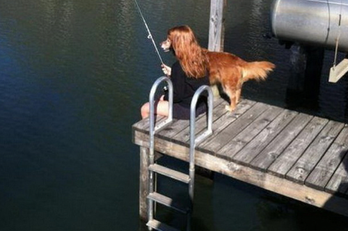 24WOWCOM's tweet photo. #24WOW (23)The timing is absolutely perfect (and hilarious)! http://t.co/roEqdMmKT4