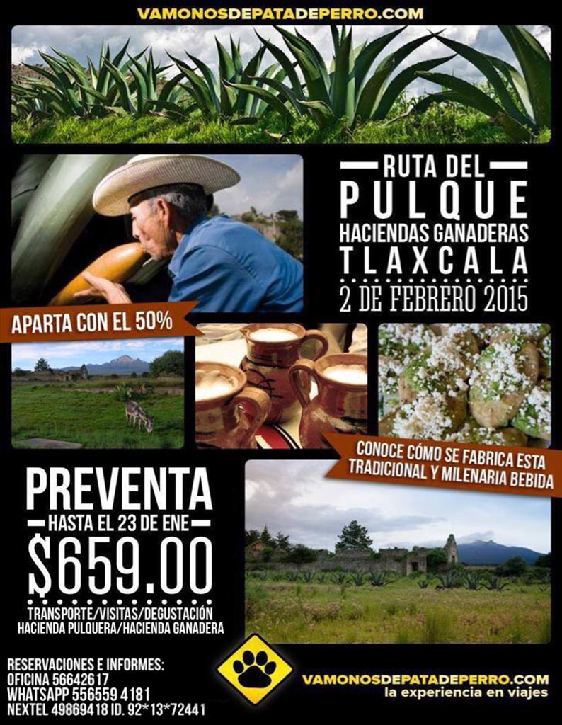 vamonosdepatade's tweet image. @elbazarsatelite RT Tour a la Ruta del Pulque y Haciendas
2 feb (puente)
$659
Tel 56642617
Whats app 5565594181