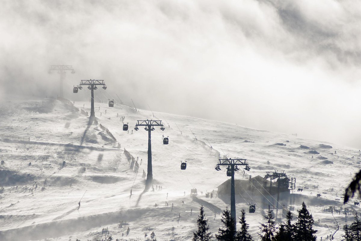 HealthierFit's tweet photo. Tis' the season to get Healthy!!! By simply carving down the slopes, you can help contribute to your fitness goals!!! http://t.co/NueZp2smHk