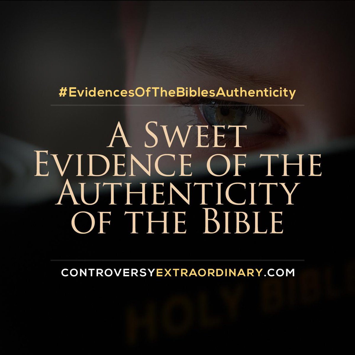 TheOldPathTV's tweet photo. A Sweet Evidence of the Authenticity of the Bible. Read here http://t.co/X4aFtxEkEd #EvidencesOfTheBiblesAuthenticity http://t.co/B9aJrmn3dq