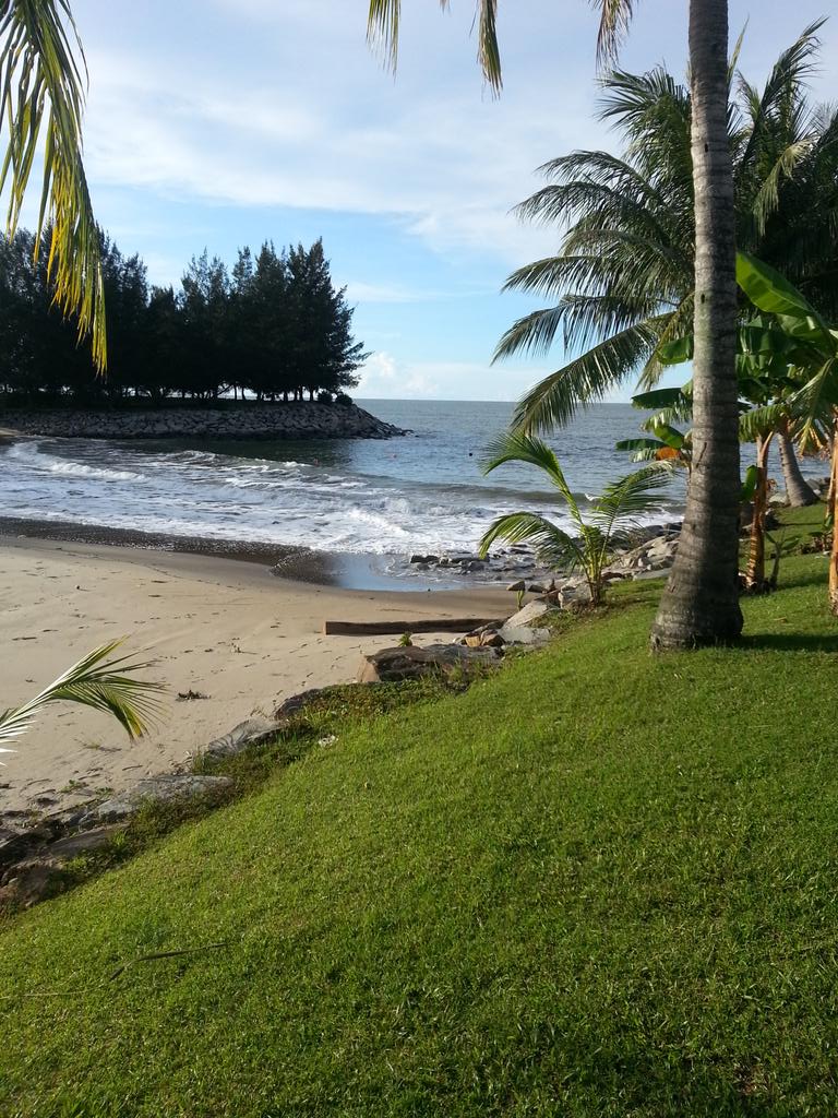 HFeego's tweet image. 