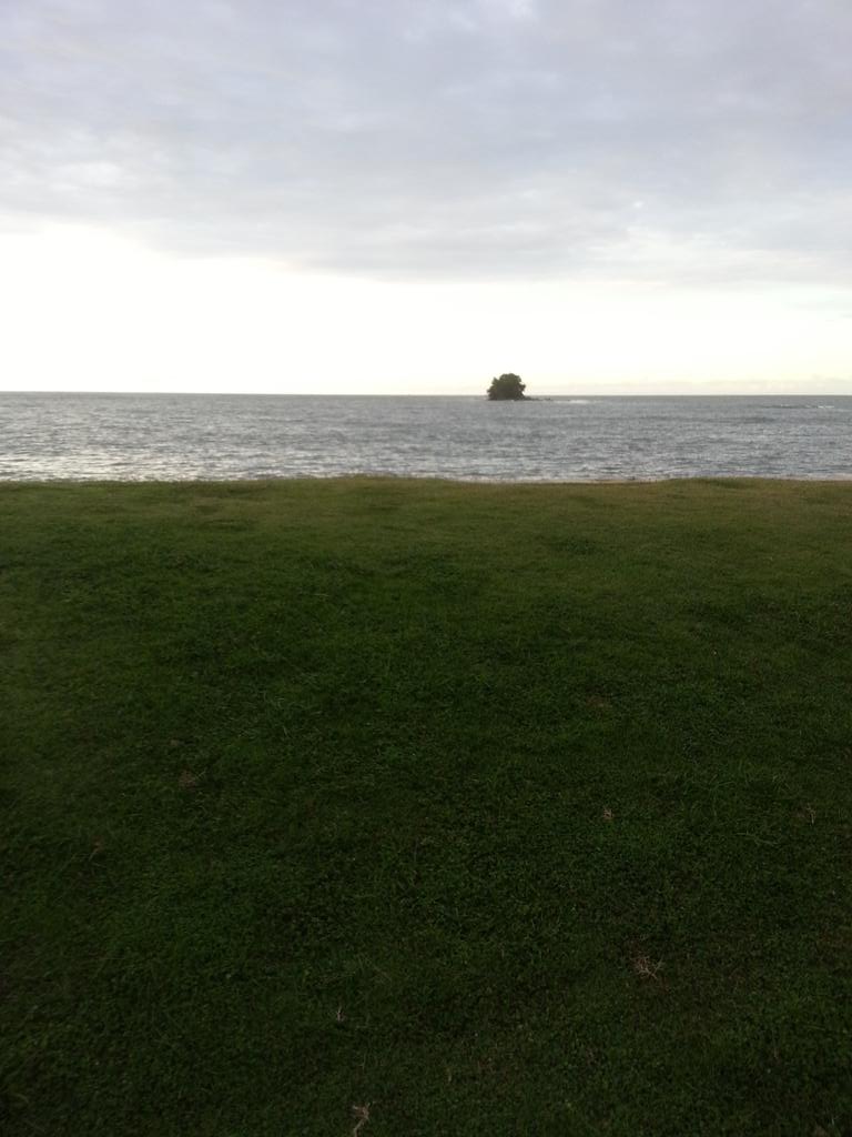 HFeego's tweet image. 