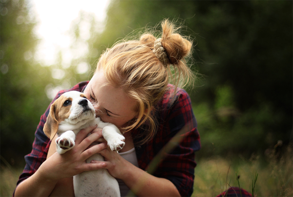 audrey_takeda's tweet photo. Lucuuuuu.... :))"@xdoggypicsx: Aww http://t.co/qlVvJlemlG"